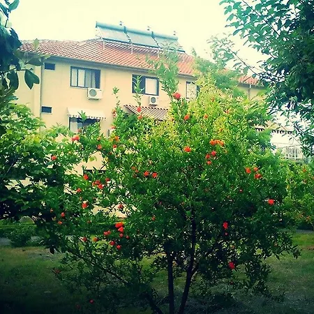 Viktoria Tirana Hotel 3*