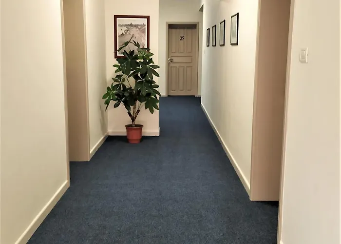 ホテル Viktoria 3*